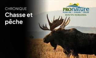 Chronique chasse et pêche